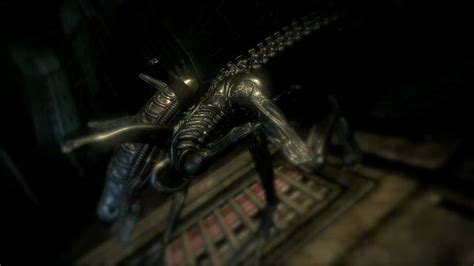Image result for Alien vs Pre