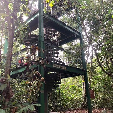JELUTONG TOWER (2026) All You Need to Know BEFORE Going (with Photos)