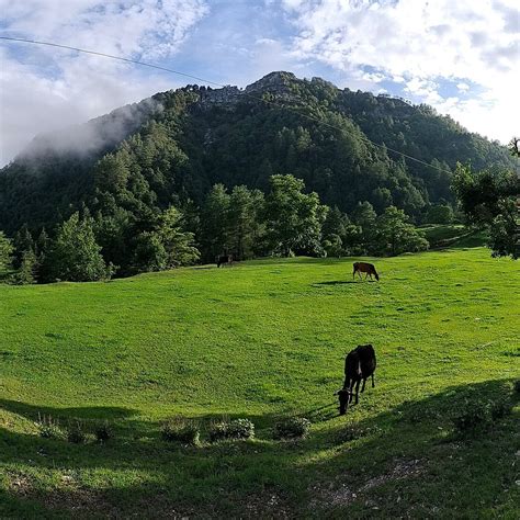 FOREST BATH INDIA BY SURAJ (2026) All You Need to Know BEFORE You Go ...