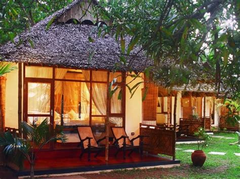 Kochi Unveiled: A Journey Through History, Culture, and Backwaters!