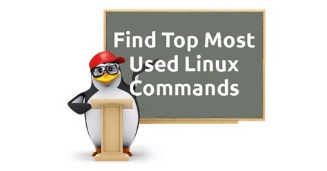 Command Line Usage 的图像结果