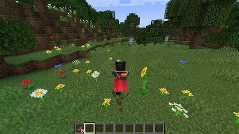 Image result for Animation Mod for Minecraft Java Best