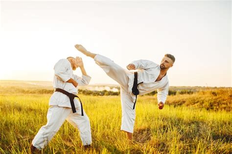 Karate 的图像结果