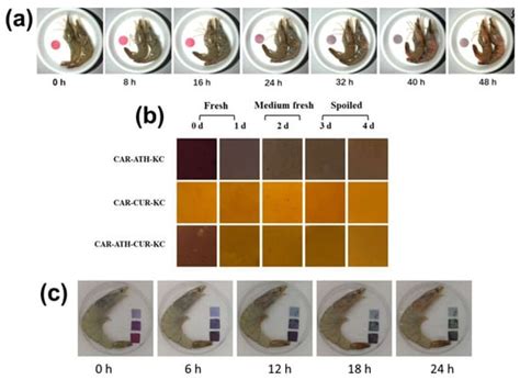 Colorimetric Indicators Based on Anthocyanin Polymer Composites: A Review