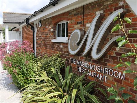 Billericay Tourism (2024): All You Need to Know Before You Go