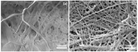Mechanical Characterization on Solvent Treated Cellulose Nanofiber ...