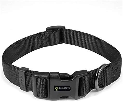 10 Best Dog Collars of 2025 in India, According To Experts