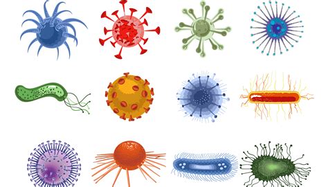 What’s the difference between bacteria and viruses? - Institute for Molecular Bioscience ...