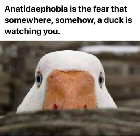 31 Random Dank Memes Of The Week That Will Put A Smile On Your Face