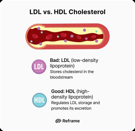 Image result for HDL Components Code
