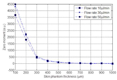 Methods and Limits for Micro Scale Blood Vessel Flow Imaging in ...