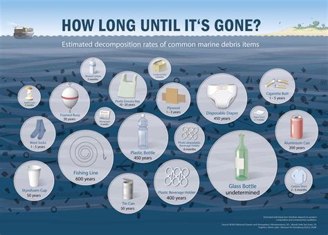 Waste; how long till it's gone? - Infographic Designer