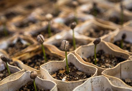 Image result for Comment Apprendre Le Java