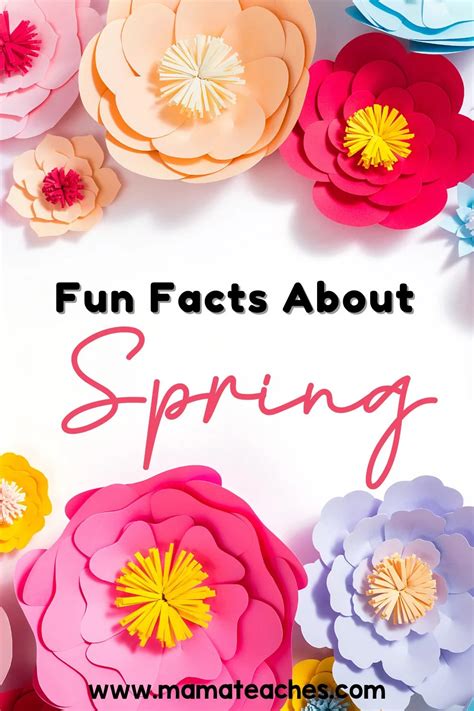 Image result for Amazing Facts Spring