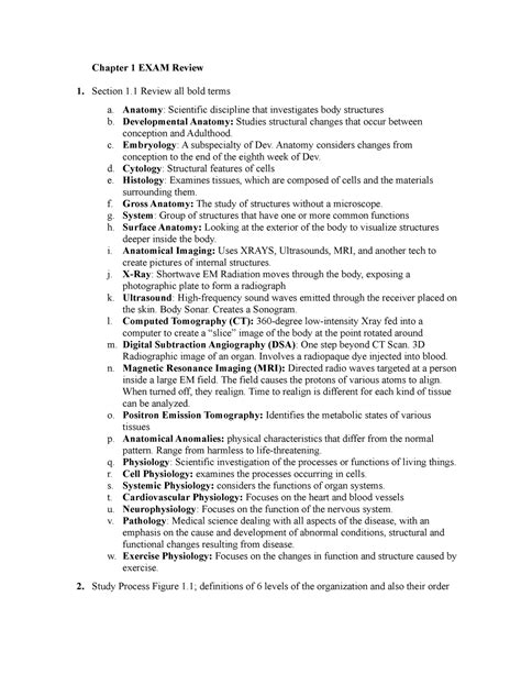 holistic health assessment quizlet exam 1