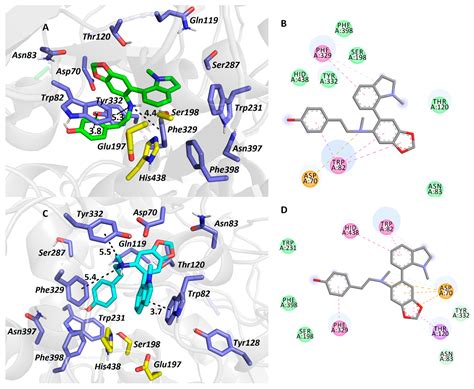 Amaryllidaceae Alkaloids of Belladine-Type from Narcissus ...