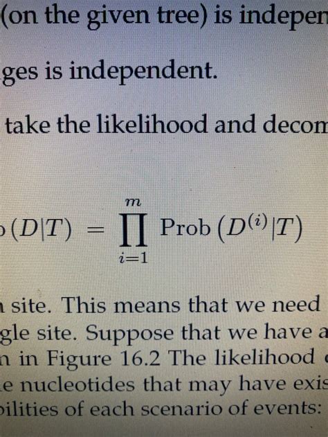 Image result for Injective Sets