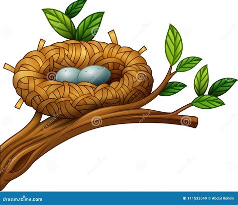 Bird Nest With Eggs Vector Cartoon Illustration | CartoonDealer.com ...
