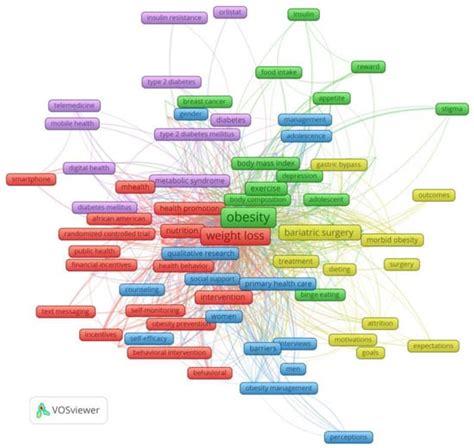 Research Trends in Motivation and Weight Loss: A Bibliometric-Based Review
