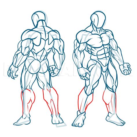 How To Draw Muscles Easy
