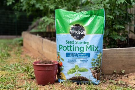 The Best Potting Soil for Healthy Seedling Transplants