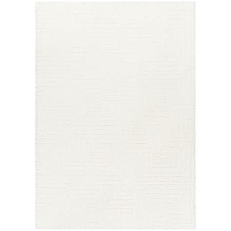 DARIANA Modern Shaggy Area Rug – Surya BV