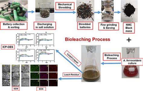 Image result for Bioleaching Process