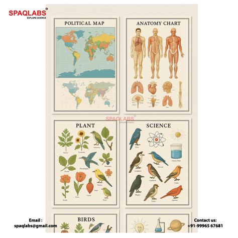 Cell Structure Chart 的图像结果