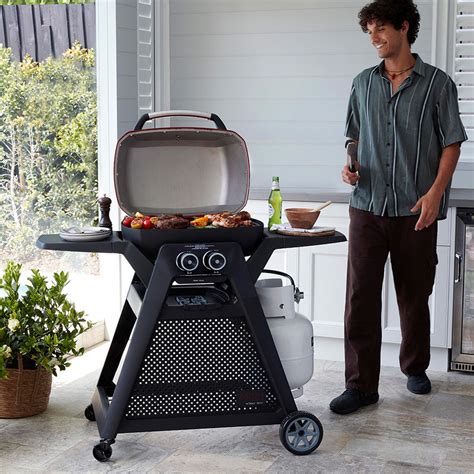 Built In Ziggy Bbq The Ultimate Guide