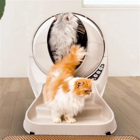Buy Litter-Robot 3 Connect & Ramp by Whisker - Automatic, Self-Cleaning ...