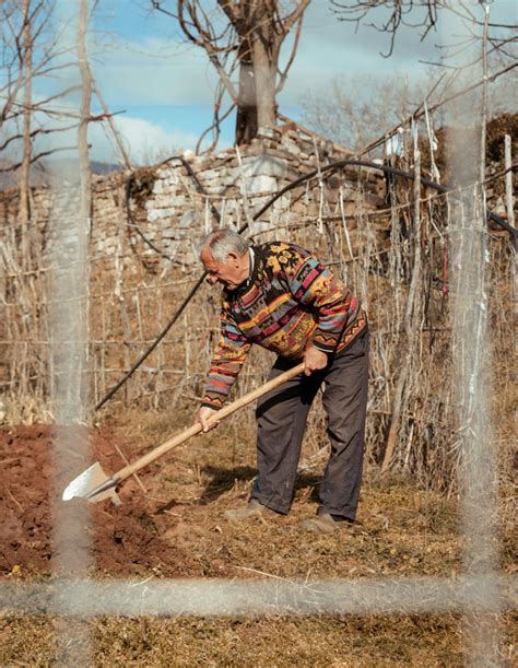 Digging 的图像结果