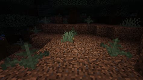 Image result for Dynamic Light Minecraft
