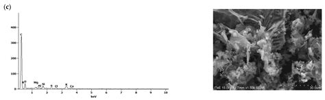 The Influence of the Plant Biomass Pyrolysis Conditions on the ...