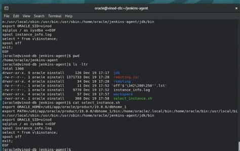 Image result for How to Run SQL Code