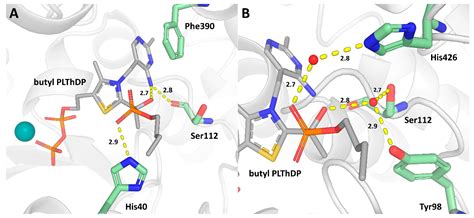 Structure of Mycobacterium tuberculosis 1-Deoxy-D-Xylulose 5-Phosphate ...