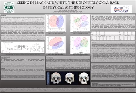 Race 的图像结果