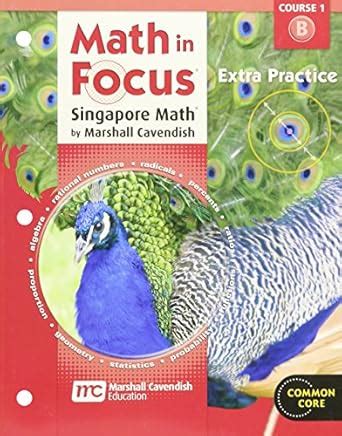 Buy Math in Focus: Singapore Math Extra Practice Book Grade 6 (B) Book ...