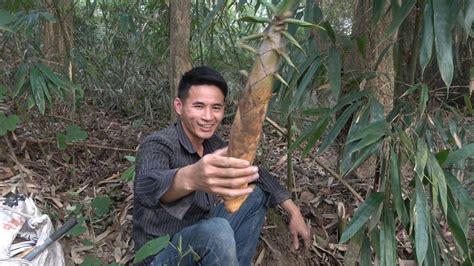 村民挖到“笋王”：一根竹鞭上长17颗竹笋_手机新浪网