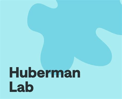 Image result for Huberman Lab Muscles Podcast
