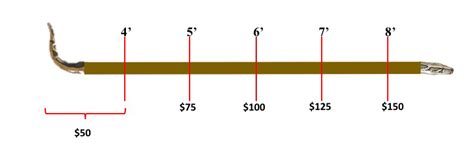 Image result for What a 15 Foot Python Can Do