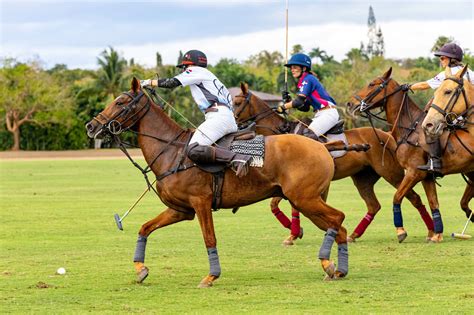 La Copa Femenina de Polo regresa a Casa de Campo en su 3ra edición ...