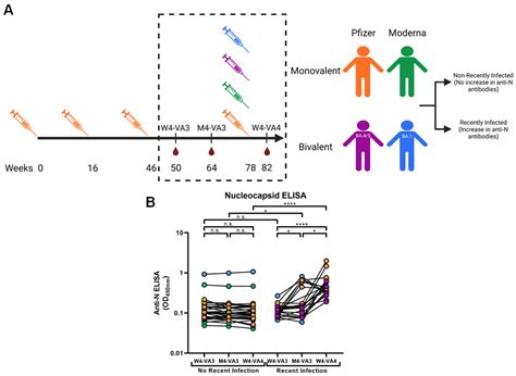A Recent SARS-CoV-2 Infection Enhances Antibody-Dependent Cellular ...