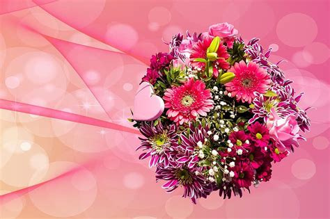 関連する画像の詳細をご覧ください。emocions, flor, planta, bouquet, gràcies, targeta de felicitació, amor ...