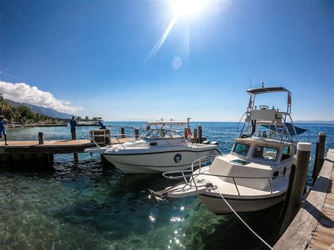 MARINA BLUE HAITI (2026) All You Need to Know BEFORE You Go (with ...