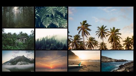 Slideshow Gallery Models 的图像结果