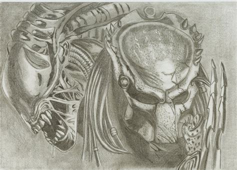 Image result for Alien vs Predator Drawing Refrence