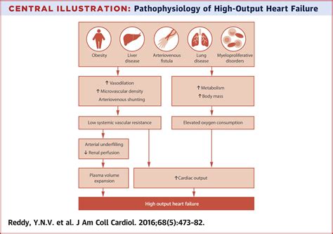 High-Output Heart Failure: A 15-Year Experience | Journal of the ...
