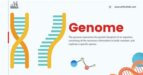 Genome Biology 的图像结果