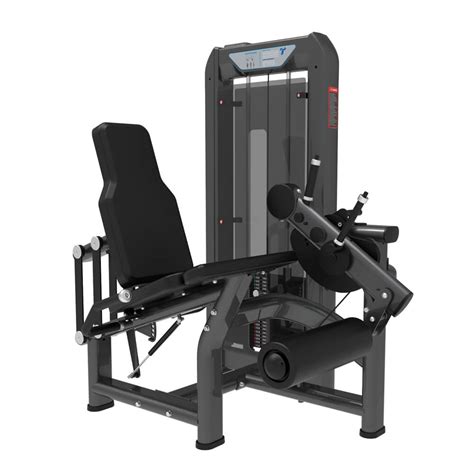 Leg Curl Machine Exercise 的图像结果