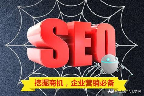 网站优化关键词怎么选（seo关键词分类及选取原则分析）-8848SEO